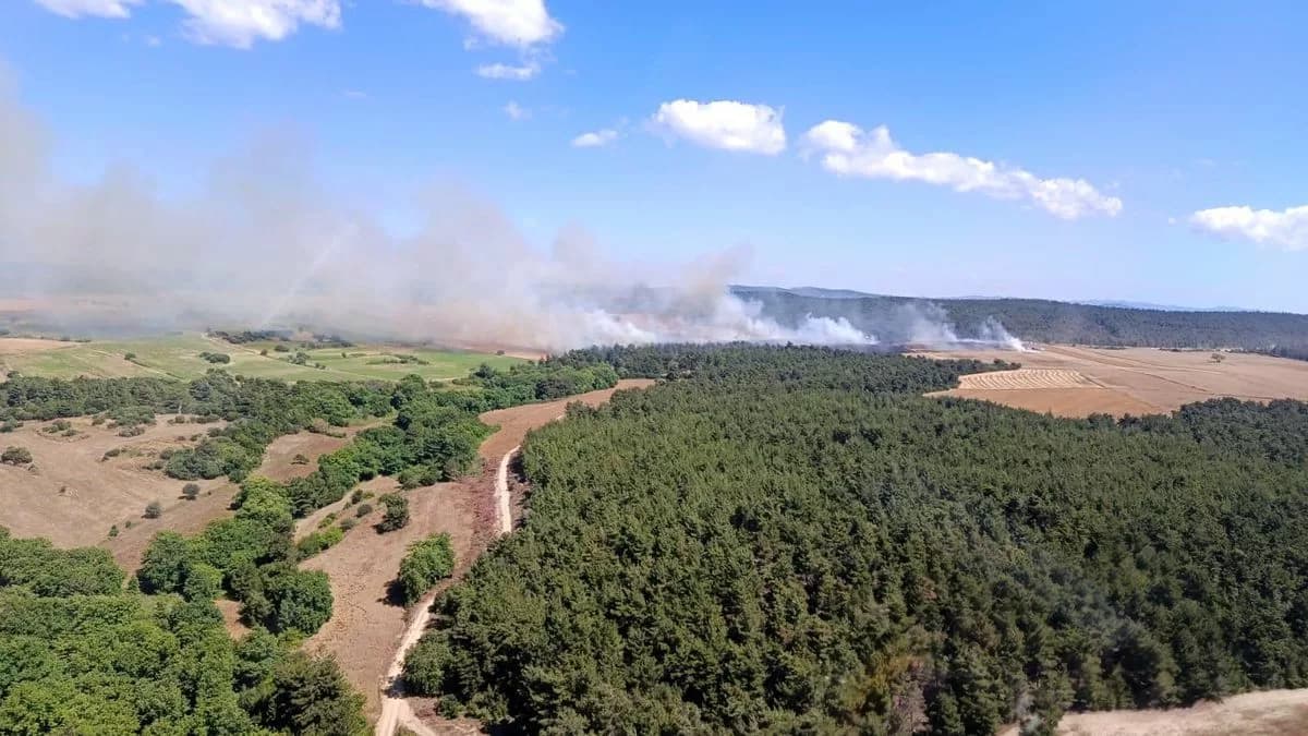 Eceabat'ta Tarım Arazisinde Yangın: Ormanlık Alana Sıçradı