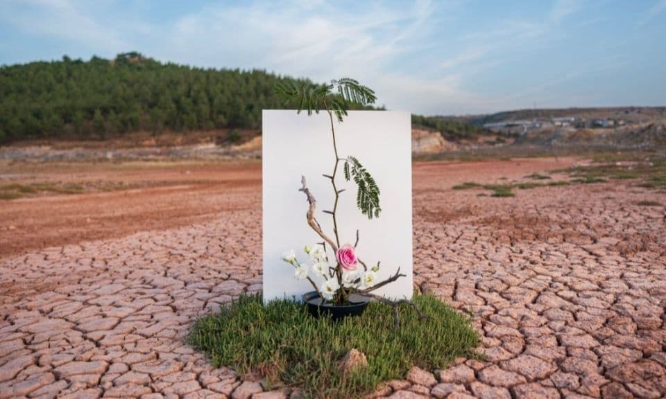 ÇOMÜ’nün Çiçeklere Övgü Sergisi COP31 YÖK Pavilyonu’nda