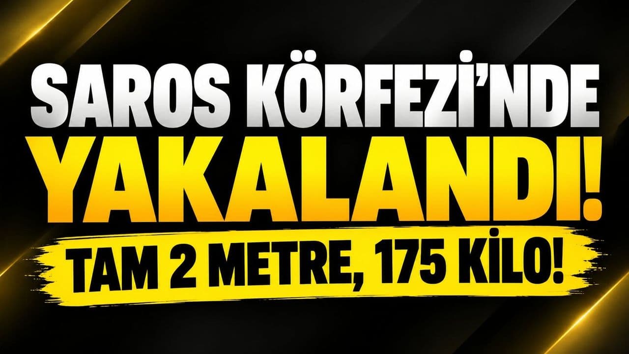 Saros Körfezi'nin Derinliklerinden Gelen Efsane: 2 Metrelik Orkinos Yakalandı!