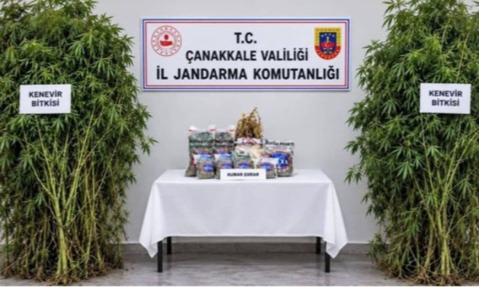 Çanakkale'de Bayramiç ve Ayvacık'ta Uyuşturucu Operasyonu: 50 Kök Kenevir ve 2.637 Grams Esrar Ele Geçirildi