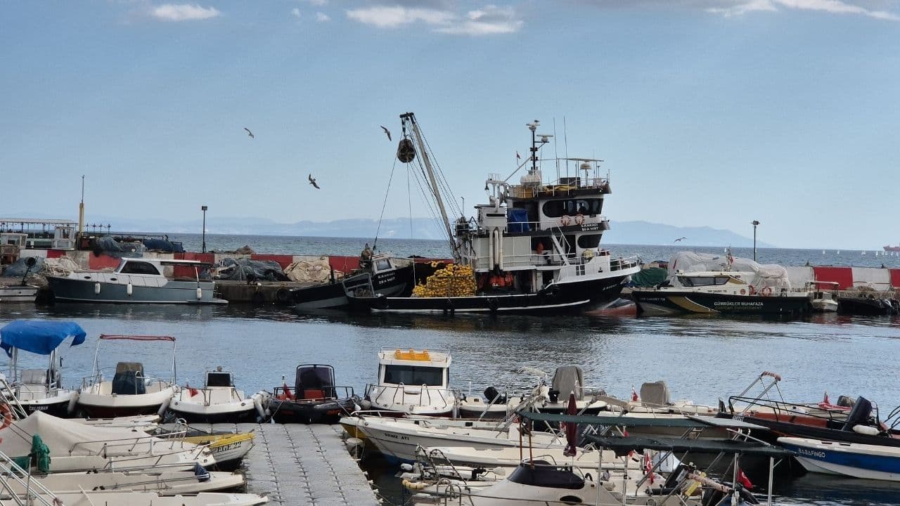 Marmara Denizi ulaşımına Poyraz engeli (Video)