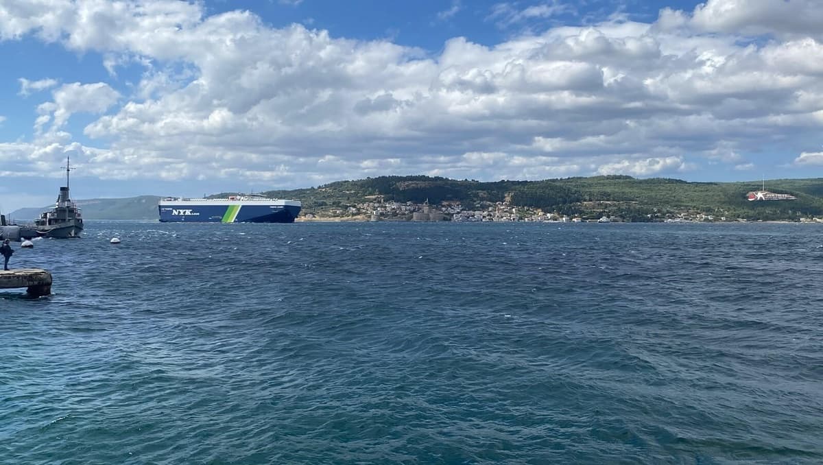 Marmara ve Çanakkale Boğazı'nda Palamut Göçü Soğuk Su Nedeniyle Gecikti