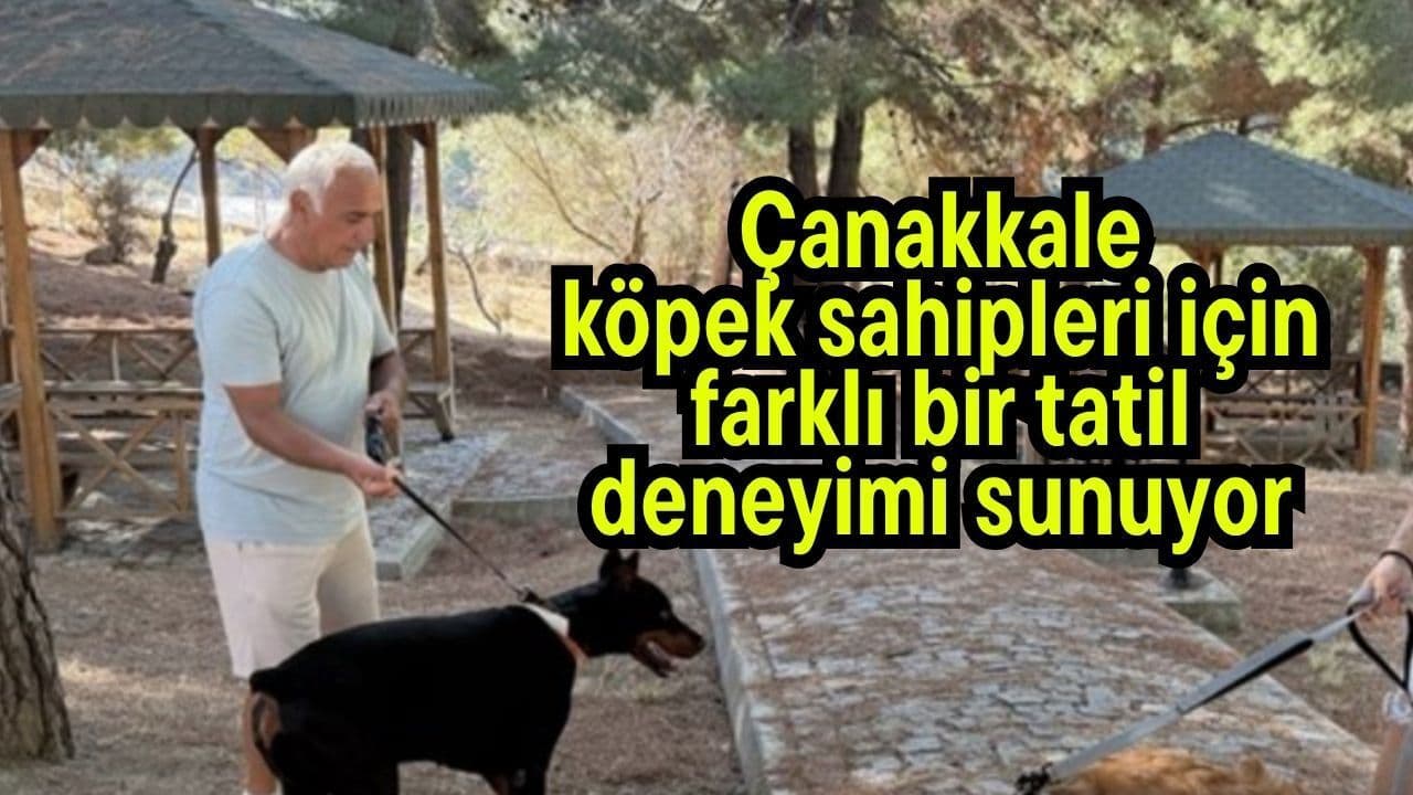 Çanakkale köpek sahipleri için muhtelif bir tatil deneyimi sağlıyor