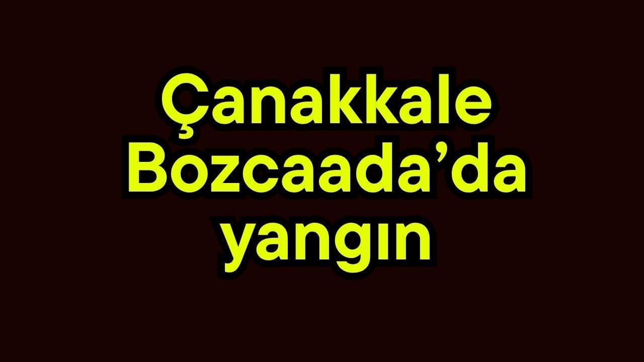 Bozcaada’da Otluğa Çıkan Yangın: Itfaiye Ekibi Hızlı Müdahale