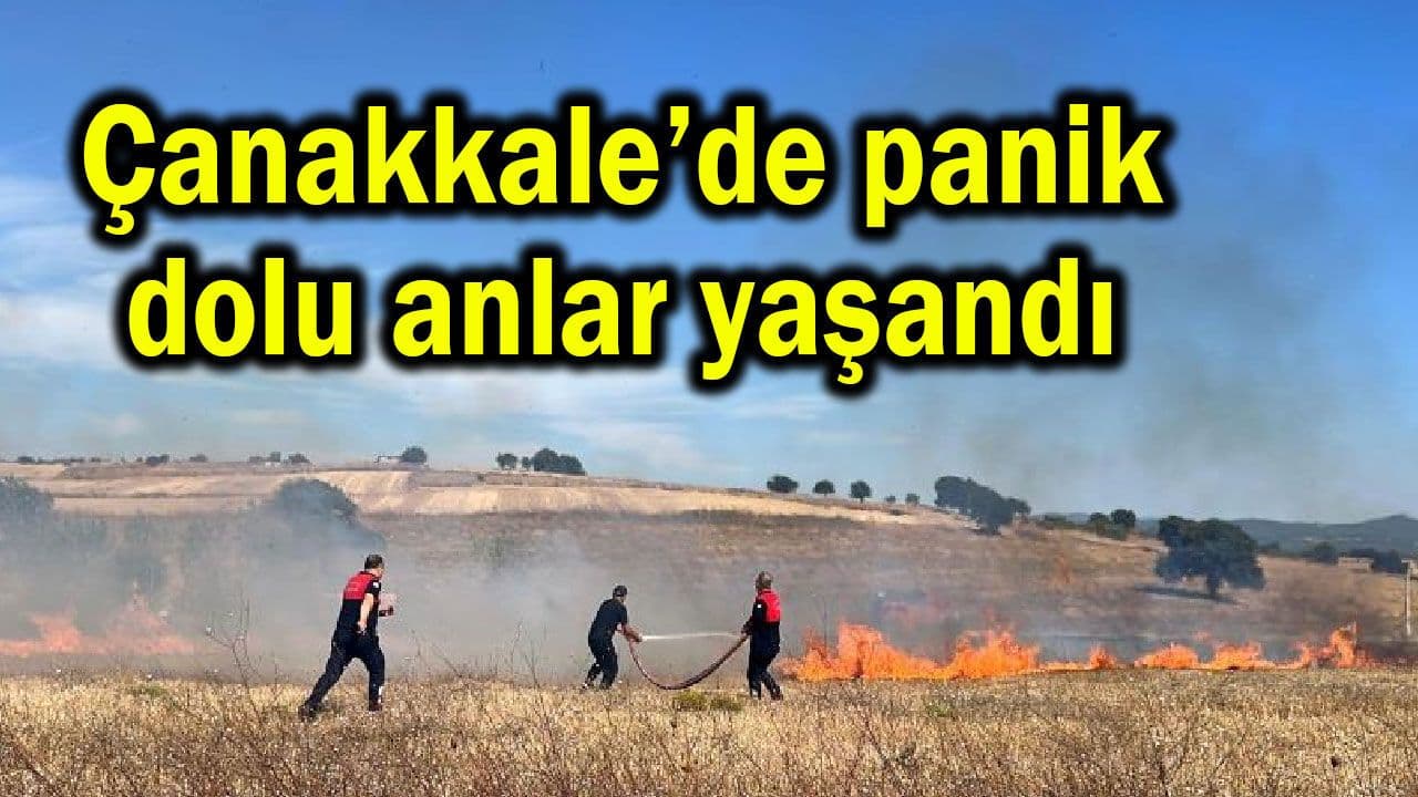 Çanakkale'de Ot Yangını Büyümeden Söndürüldü: Detaylar