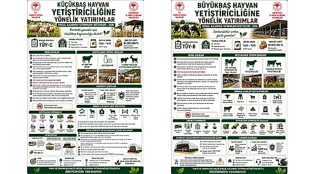 Küçükbaş ve Büyükbaş için Hibe Başvuruları Başladı