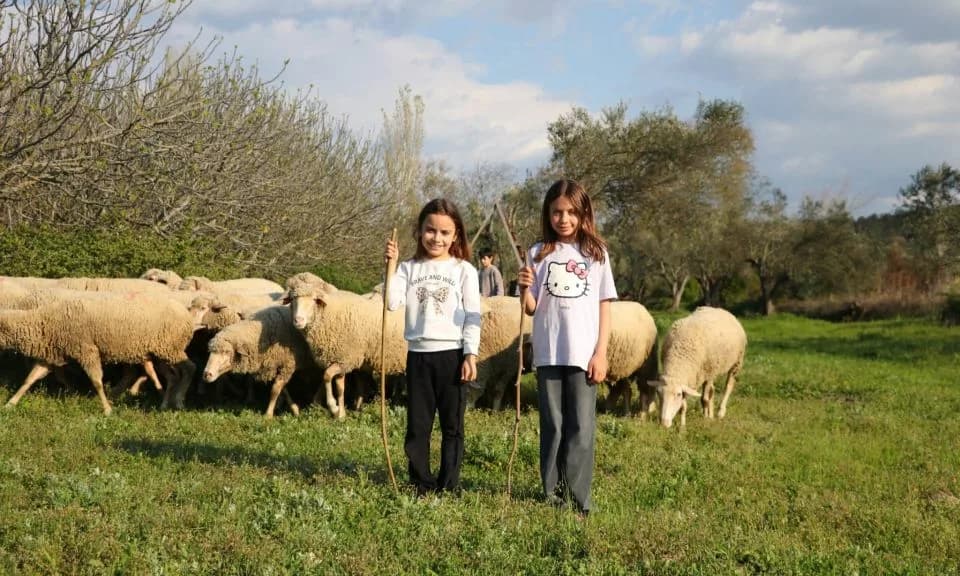 Lapseki'de 'Boğazın Minik Çobanları' Yarışması Düzenlenecek