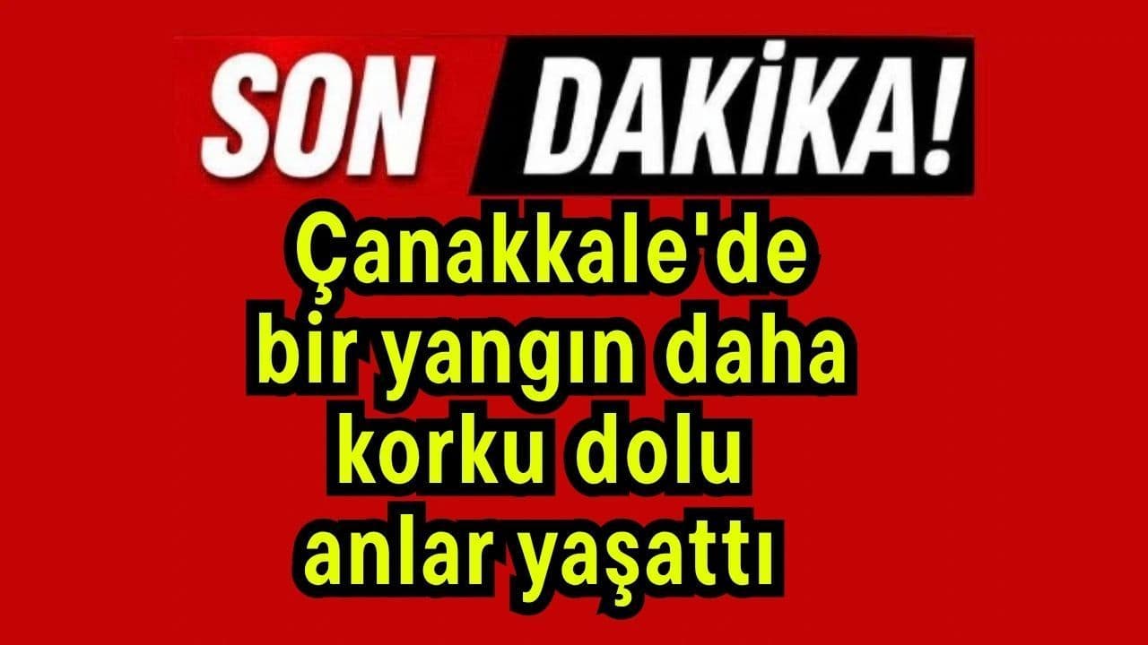 Biga Sanayi Sitesinde Marangoz Atölyesinde Yangın: Olayın Ayrıntıları