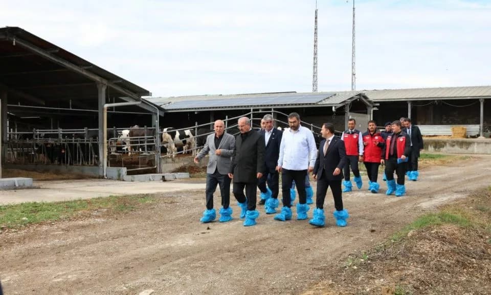Biga'da Hayvancılık İşletmelerinde İnceleme