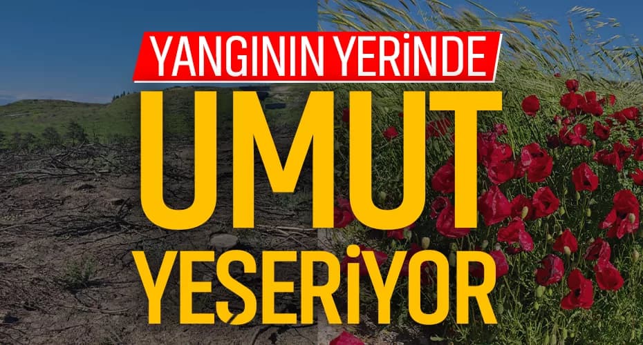 Çanakkale Yangınından Umut Var