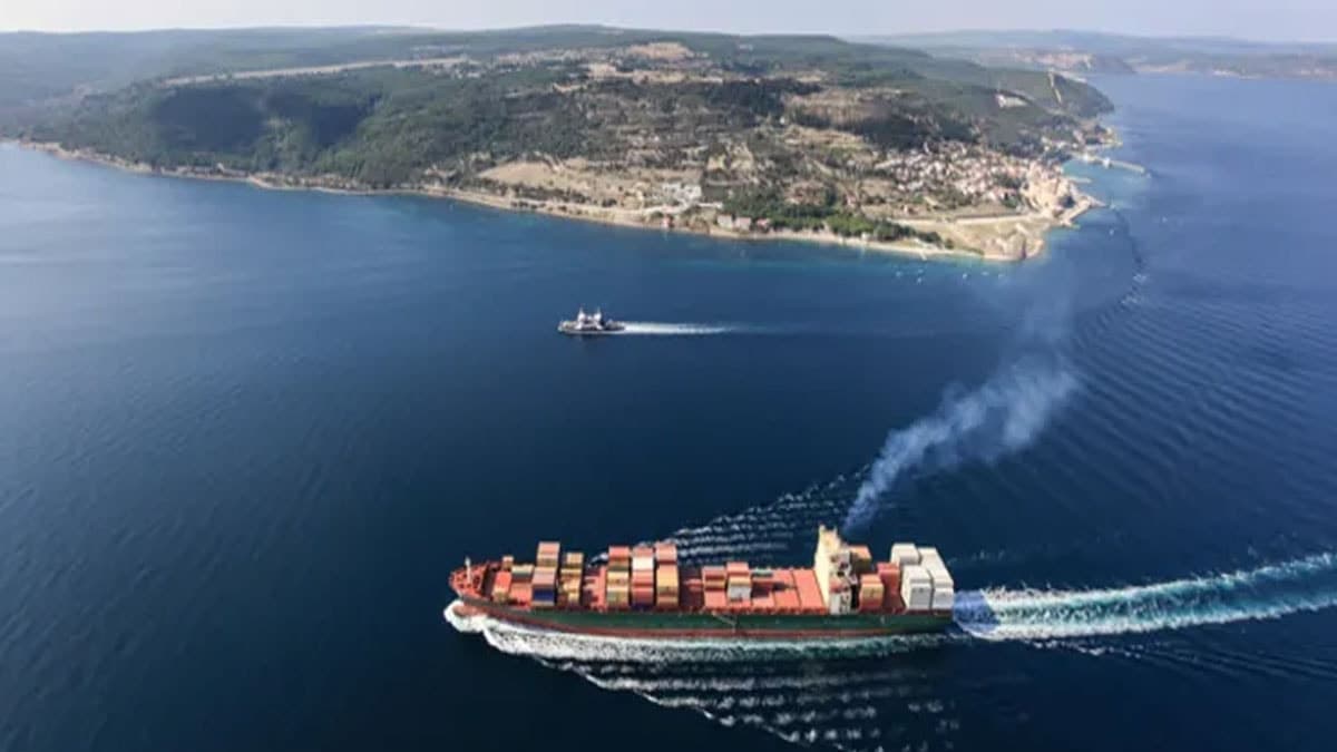 Çanakkale Boğazı'nda Canlanan Umut: 300 Yavru Istakoz Doğal Yaşam Alanına Bırakıldı