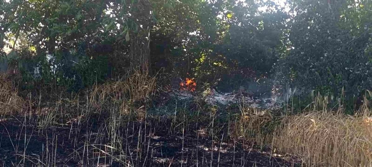 Çanakkale'de Tarla Yangını: 2 Ekili Alan Kül Oldu