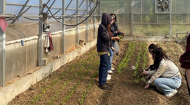 ÇOMÜ'DEN TARIMA VE SOSYAL REHABİLİTASYONA DESTEK Çanakkale Onsekiz Mart Üniversitesi (ÇOMÜ), ihracat potansiyeli fazla süs bitkilerinin üretimini geliştirmek hedefiyle yürüttüğü planı genişleterek devam ettiriyor. Proje dahilinde Dardanos Yerleşkesi