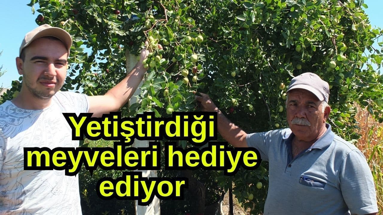 Çanakkale'de Meyve Üreticisi Hasan Talay: Hediyeyle Paylaşılan Zengin Meyveler