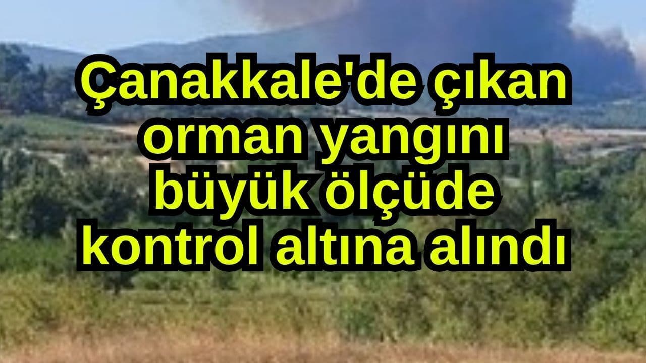 Çanakkale'de çıkan ormanlık alan yangını önemli oranda denetim altına alındı
