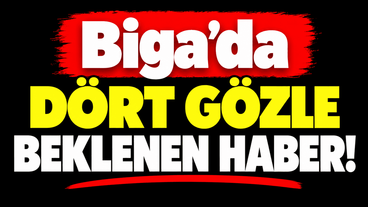 Biga Çeltik Üreticilerine Müjde: 2026 Alım Fiyatları Netleşti, TMO Takvimi Açıklandı