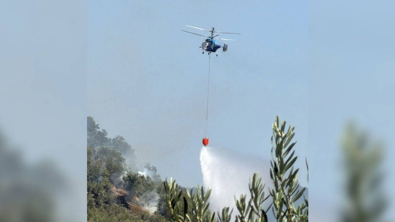 Çanakkale'de zeytinlik alandaki yangın kontrol altına alındı