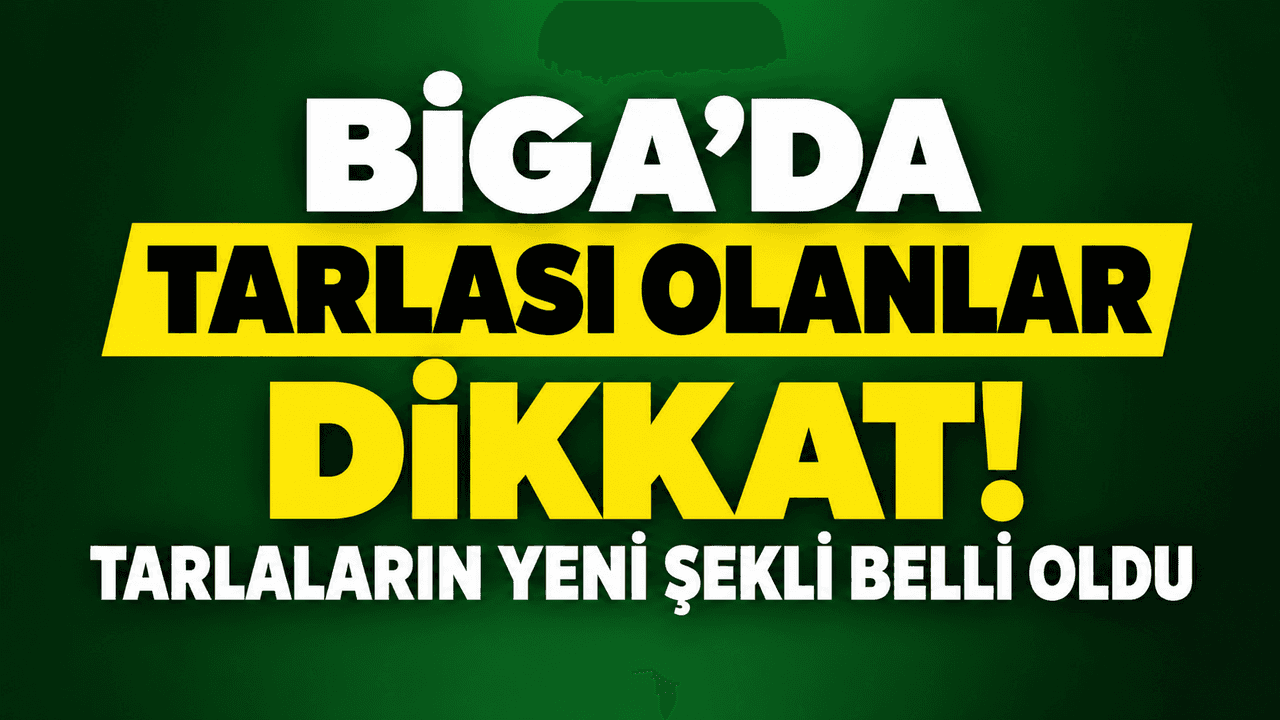 Tarlası olanlar dikkat! Tarlaların taze şekli belli oldu Biga’da