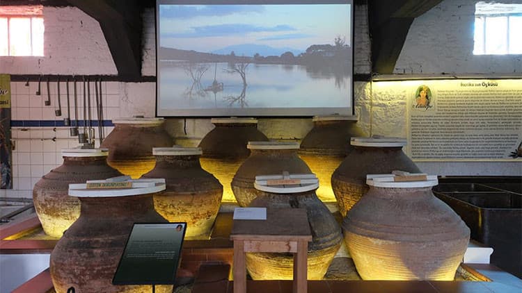 10. Çanakkale Bienali “Metcezir” Temasıyla Açıldı