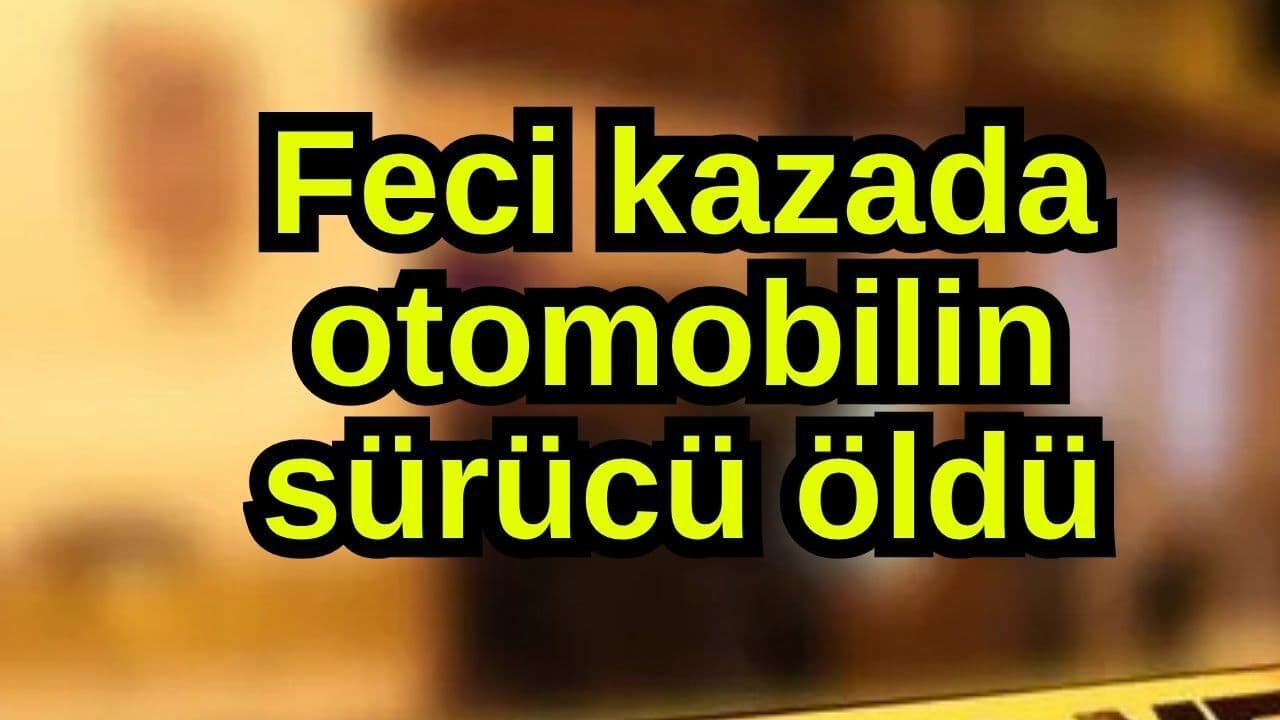Feci olayda taşıtın şoför öldü