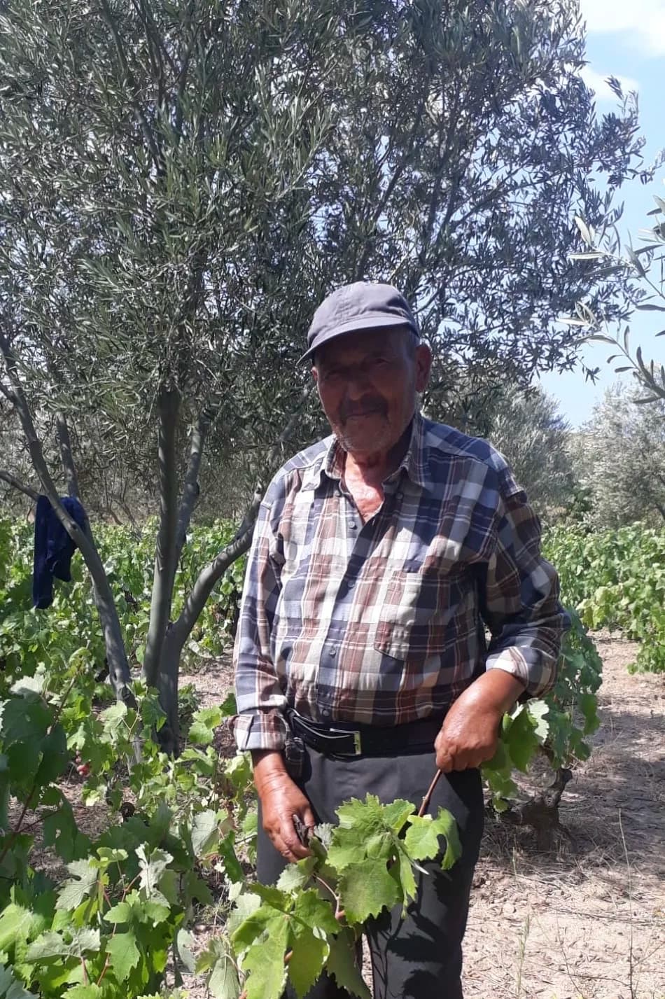 Celil Şener Vefat Etti