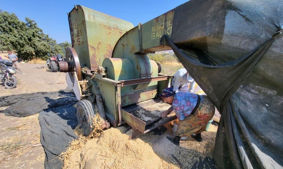 Çanakkale'li Çiftçi Yılmaz Avcı'dan Üretim ve Pazarlama Sorunları