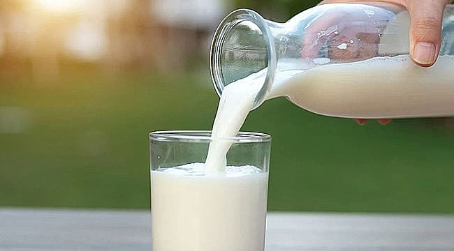 SÜT ÜRETİMİNDE ARTIŞ SÜRÜYOR