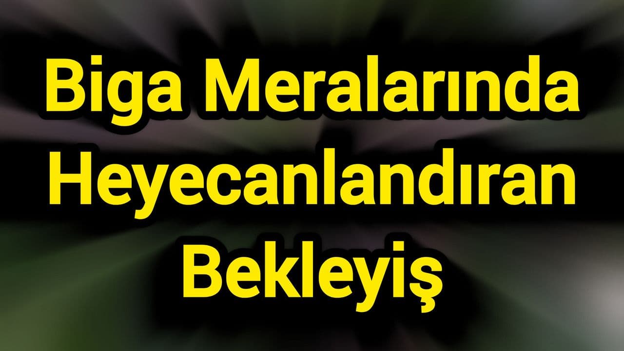 Biga Meralarında Heyecanlandıran Bekleyiş