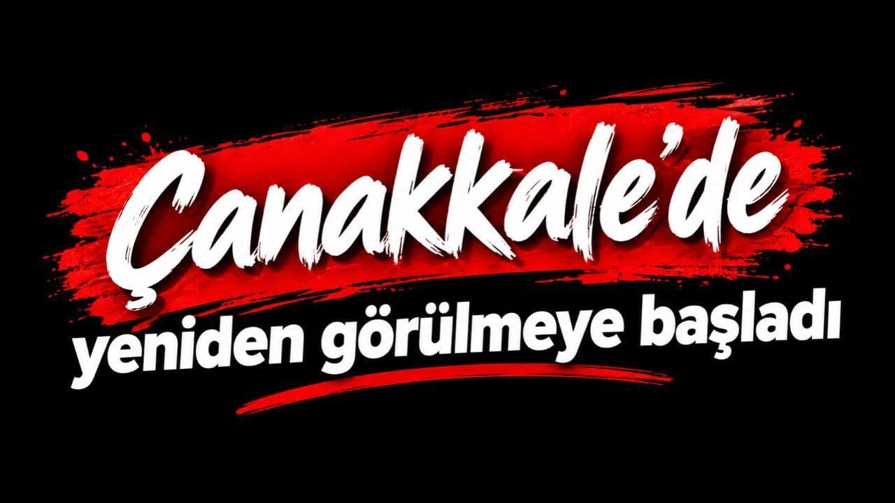 Çanakkale'de bir kez daha görülmeye start aldı