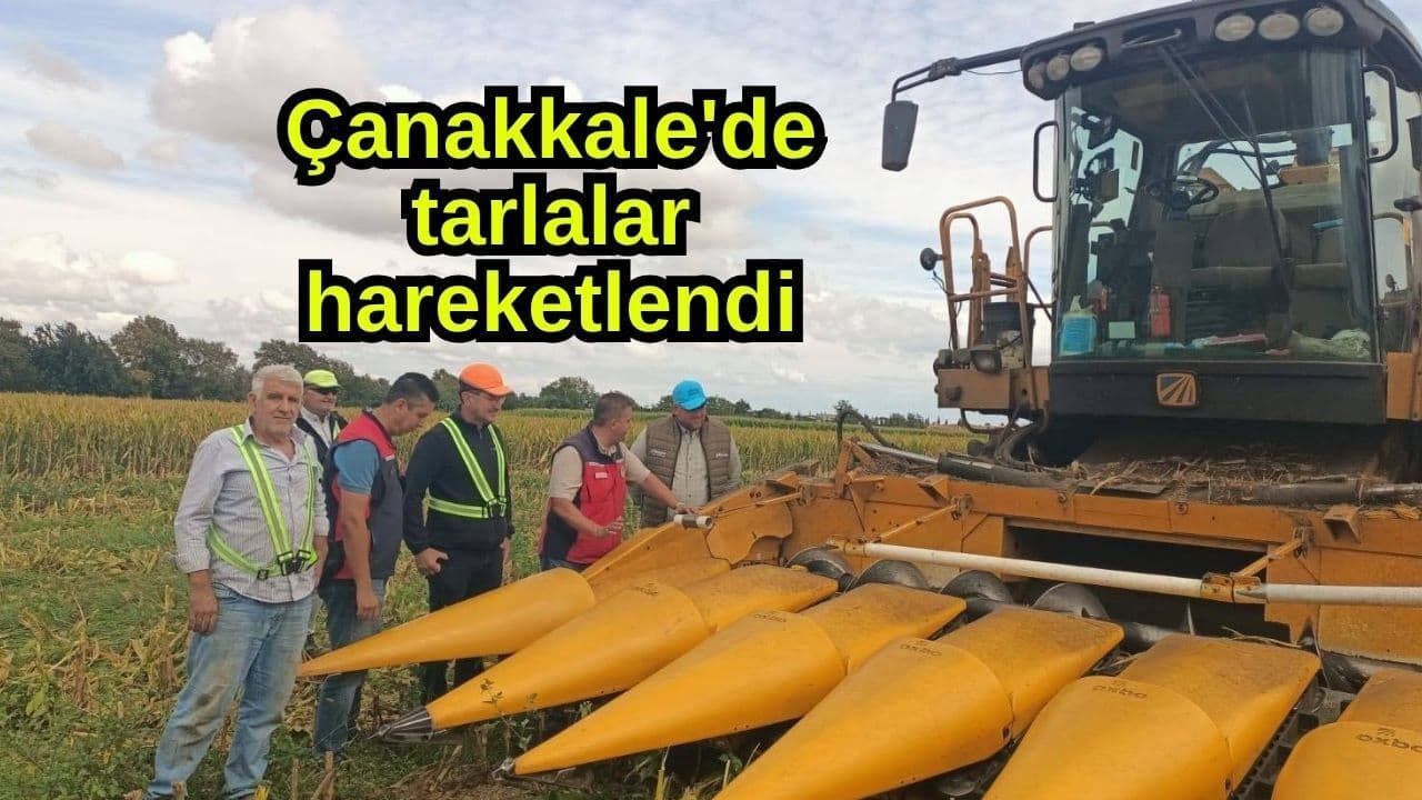 Çanakkale Biga’da Mısır Hasatında Sözleşmeli Üretim Gündemde