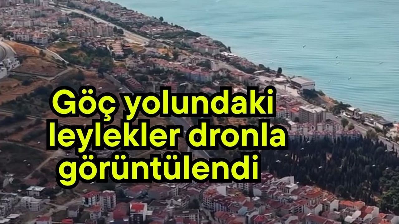 Göç Yolunda Leyleklerin Dronla İzlenmesi (Video)