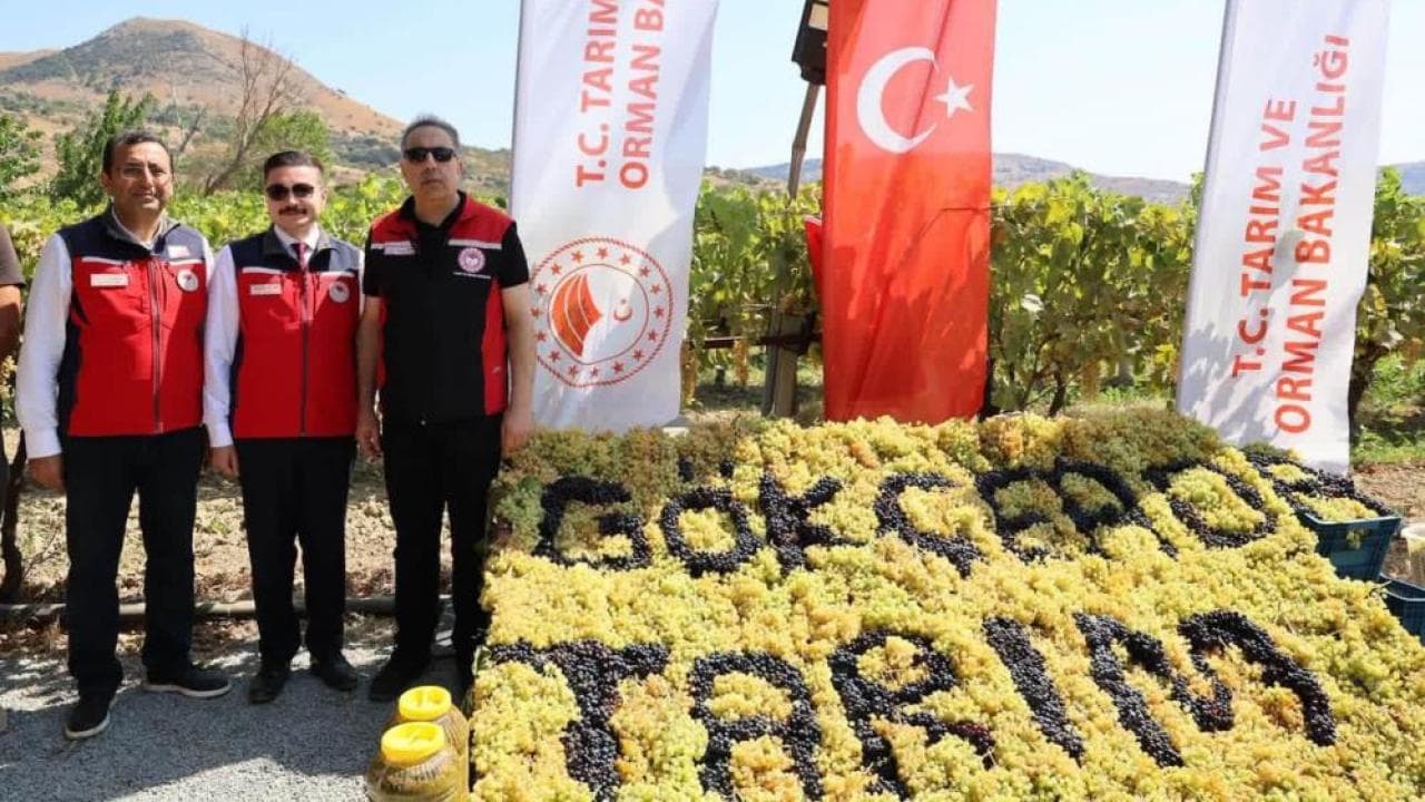 Bakan Yardımcısı Gümen Çanakkale’de Tarım Çalışmalarını İnceledi