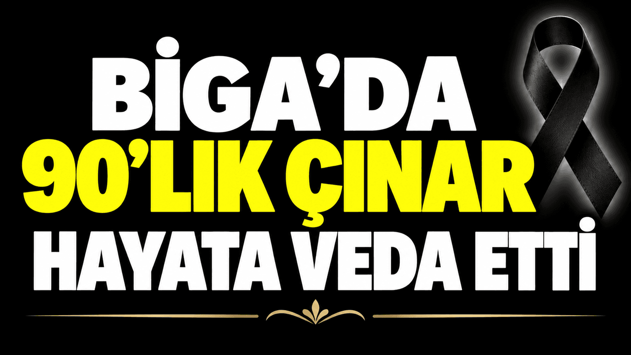 Biga’da 90’lık çınar hayata veda etti