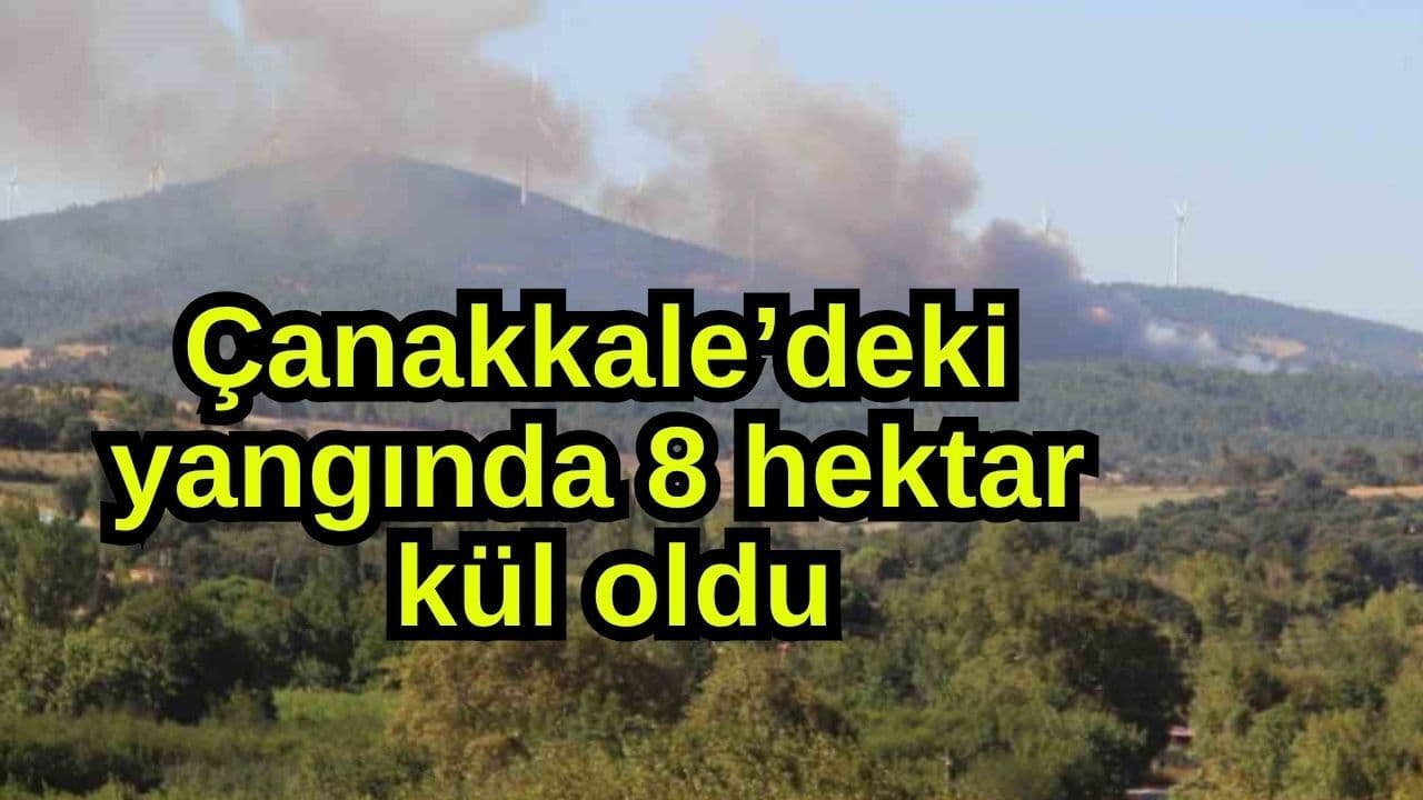Çanakkale Bayramiç'te Yanan Ormanlar Kül Oldu: Felaketin Boyutları Netleşti