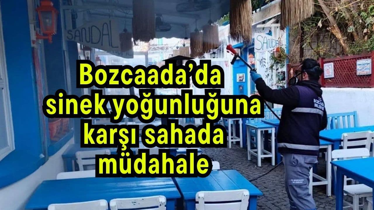 Bozcaada’da sinek yoğunluğuna karşı bölgede müdahale