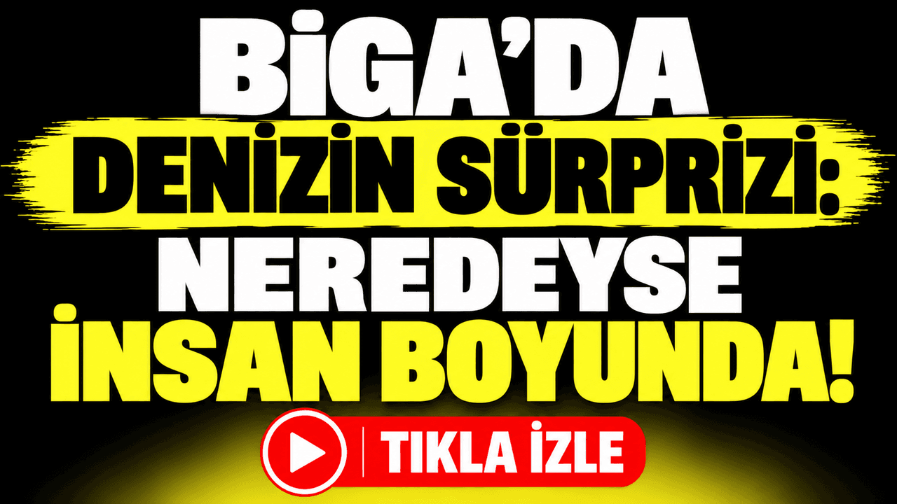 Biga’da denizin sürprizi: Neredeyse insan boyunda!