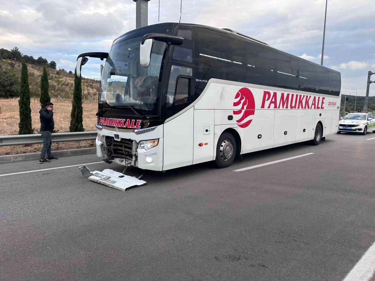 Ayvacık Troya Tüneli Kavşağında Otobüs Çarpmasıyla 2 Ölü ve 3 Köpek Kaybı