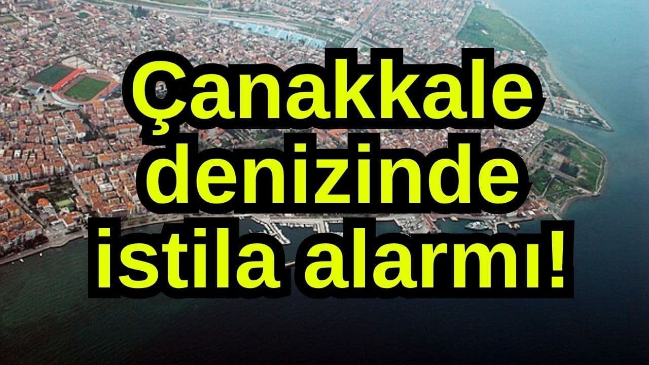 Çanakkale denizinde istila alarmı! (Video)
