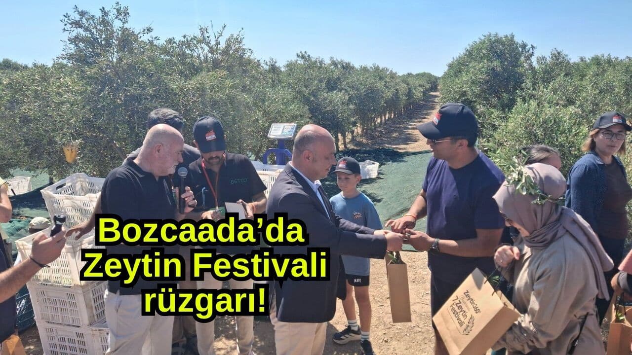 Bozcaada'dan Yükselen Zeytin Rüzgarı: 7. Festival Bölgeye Damga Vuruyor