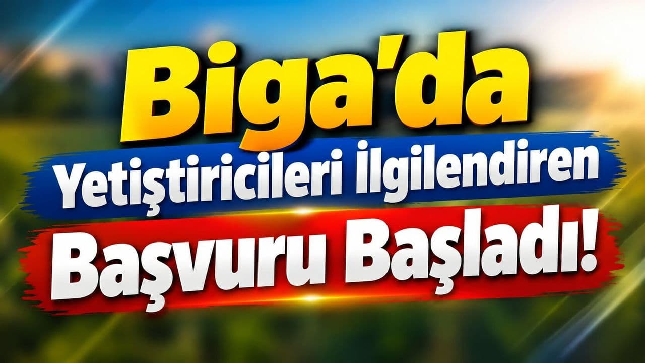 Çanakkale Hayvancılığına Kritik Destek: 2027 Besilik Sığır İthalatı Başvuruları Başladı!