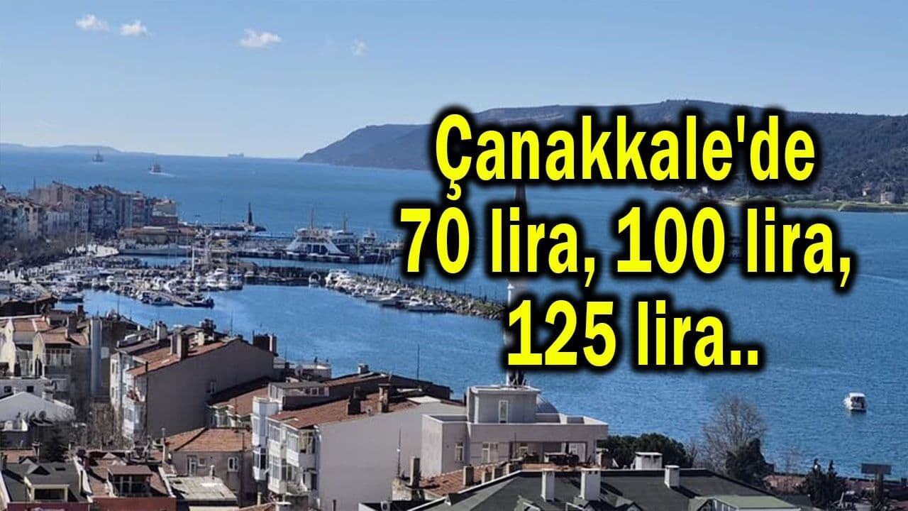 Çanakkale Balıkhanesi'nde Palamut Bolluğu: Sezon Fiyatları Yüzleri Güldürüyor!