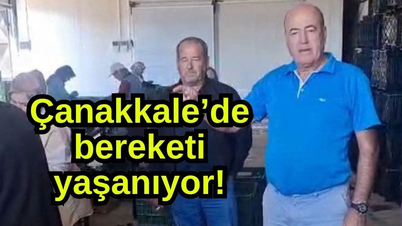 Çanakkale’de Bereketli Tarım: Biga’nın Gerlengeç Köyünde İncir Yetiştirme Örneği