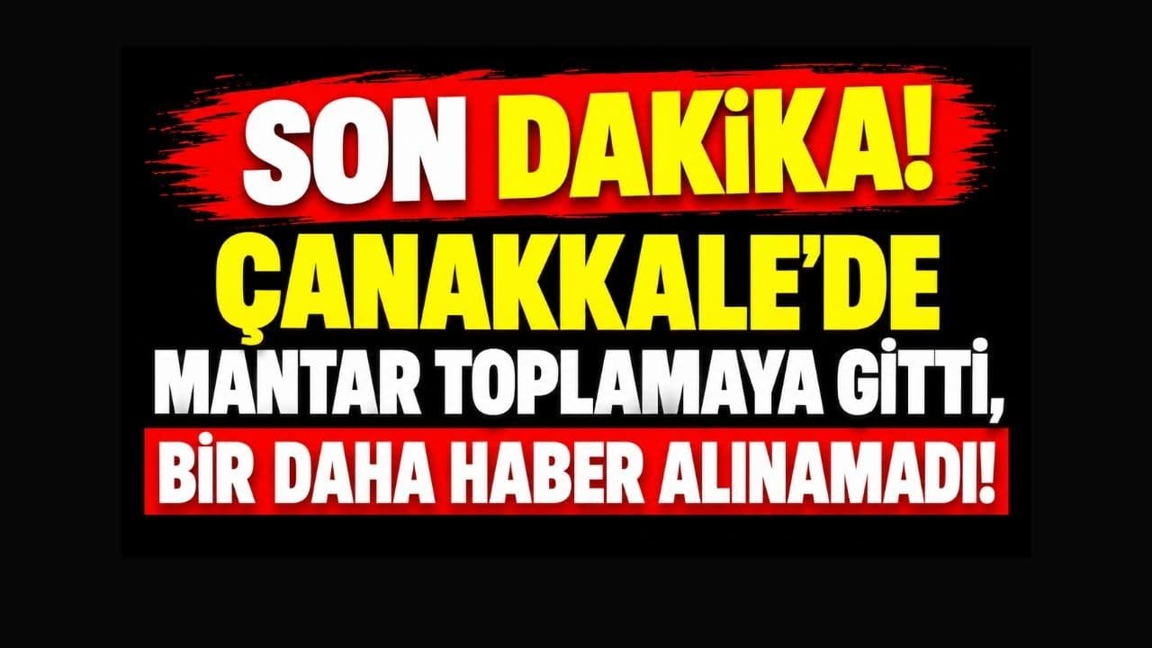 SON DAKİKA! Çanakkale’de Mantar Toplamaya Gitti, Bir Daha Haber Alınamadı!