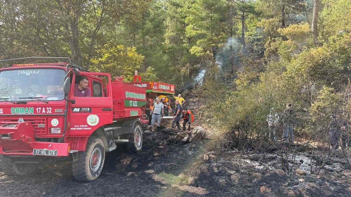 Çan'da Tarım ve Ormana Sıçrayan Yangın: 10 Dönüm Tarım, 9 Dönüm Orman Zarar Gördü
