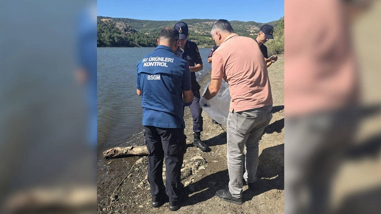Çanakkale'de Atikhisar Barajı'nda Balık Ölümleri: Sebep Belirlenemedi