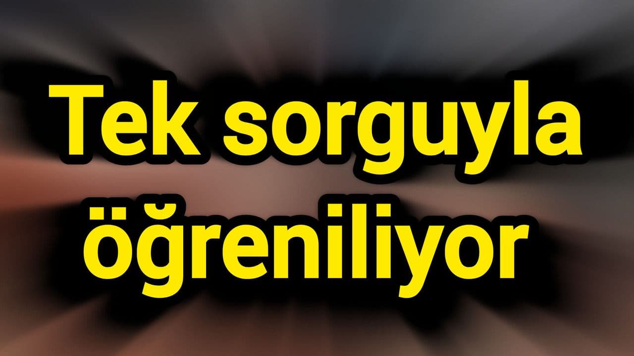 Tek sorguyla öğreniliyor