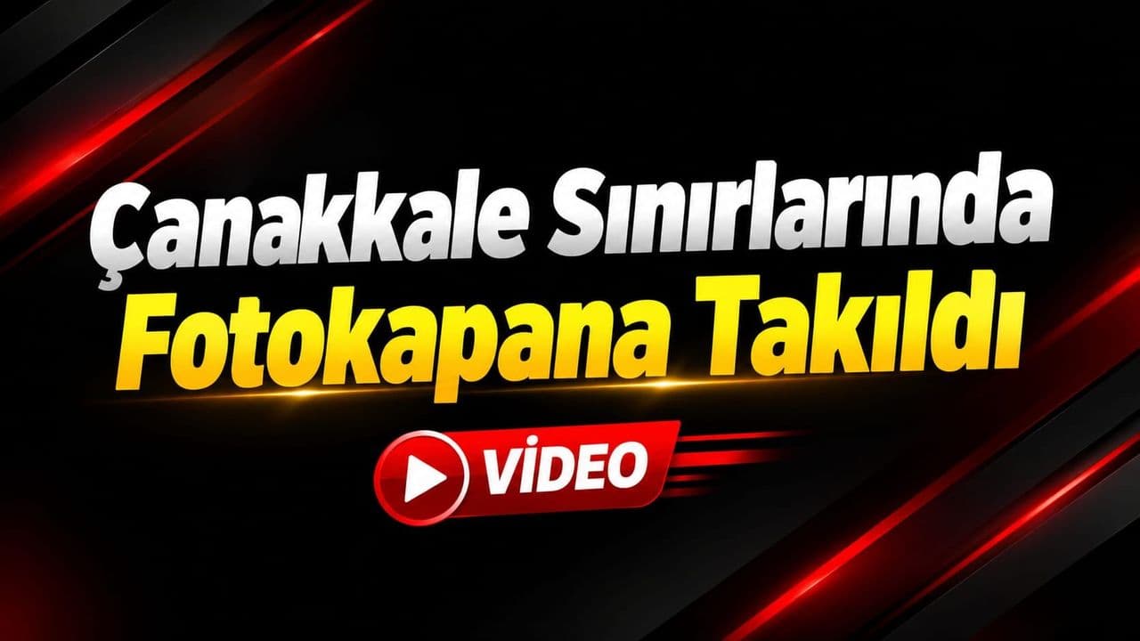 Çanakkale Sınırlarında Yaban Hayatı Fotoğraf Kapana Yakalandı