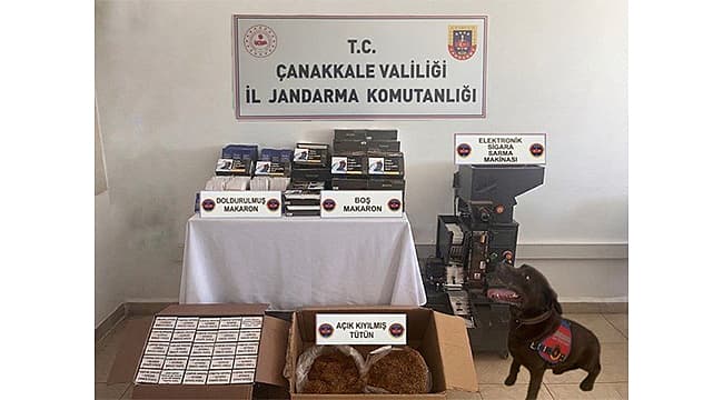LAPSEKİ'DE KAÇAK TÜTÜN OPERASYONU: BİNLERCE MAKARON ELE GEÇİRİLDİ