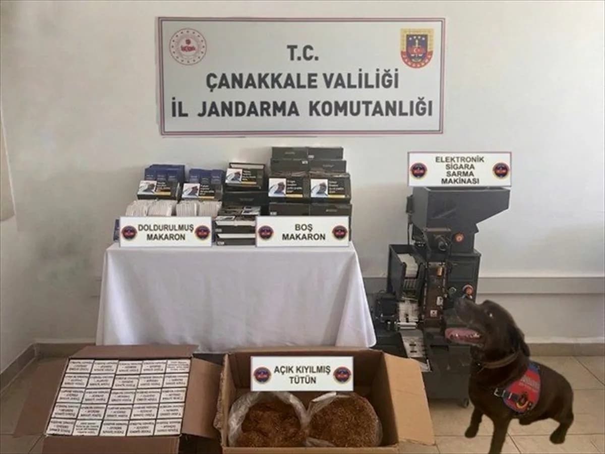 Çanakkale'de Büyük Kaçak Tütün Operasyonu