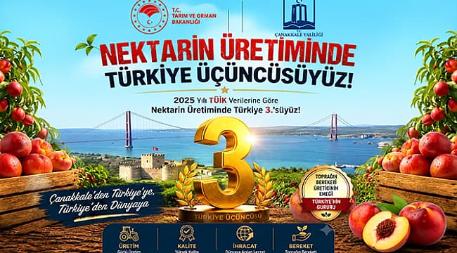 ÇANAKKALE, NEKTARİN ÜRETİMİNDE TÜRKİYE ÜÇÜNCÜSÜ